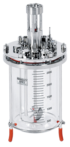 3L bioreactor cell culture