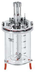 3L bioreactor cell culture