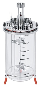7L glass bioreactor